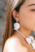 Load image into Gallery viewer, Sea shell
